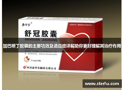 加巴喷丁胶囊的主要功效及适应症详解助你更好理解其治疗作用 加巴喷丁胶囊的主要功效及适应症详解助你更好理解其治疗作用
