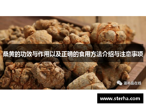 桑黄的功效与作用以及正确的食用方法介绍与注意事项 桑黄的功效与作用以及正确的食用方法介绍与注意事项