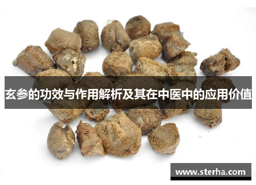 玄参的功效与作用解析及其在中医中的应用价值 玄参的功效与作用解析及其在中医中的应用价值