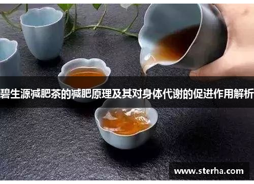 碧生源减肥茶的减肥原理及其对身体代谢的促进作用解析