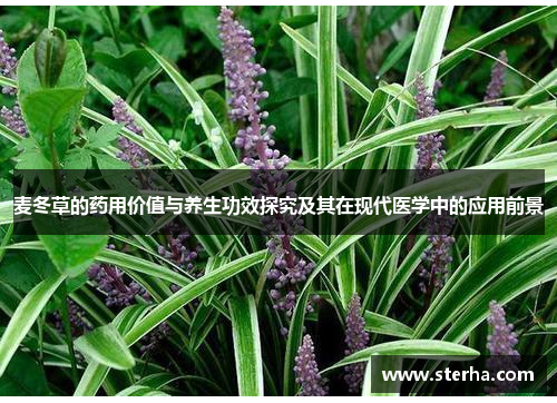 麦冬草的药用价值与养生功效探究及其在现代医学中的应用前景 麦冬草的药用价值与养生功效探究及其在现代医学中的应用前景